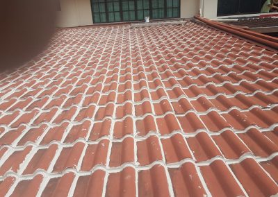 Complete shingle roof gap coating for waterproofing