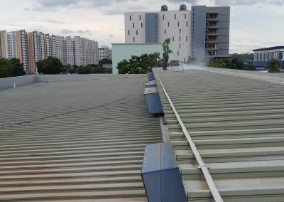 Our skilled pressure washing specialist cleaning a metal roof