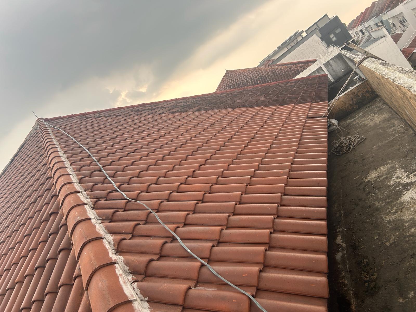 Half-cleaned clay shingle roof with visible dirt contrast