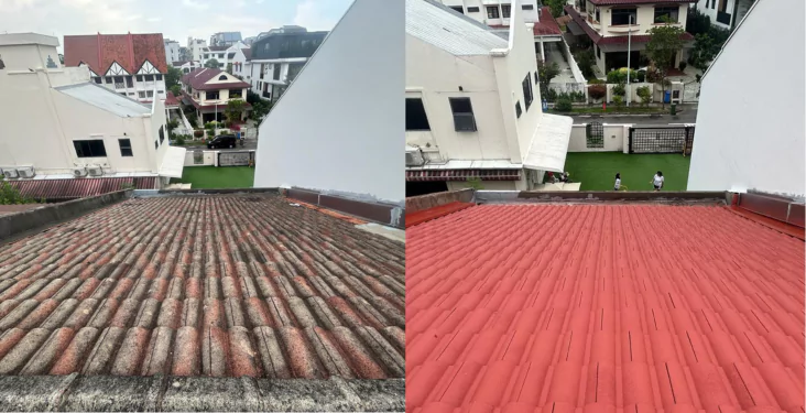 Before and after comparison of roof cleaning, demonstrating the effectiveness of the best roof cleaning company in rejuvenating tiles.