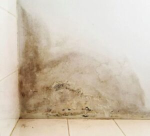 Mold and water damage on a wall caused by poor roof maintenance, showing the importance of saving money in early roof repairs.