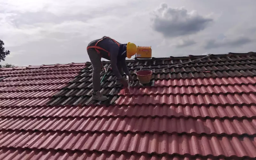 How Roof Waterproofing Prevents Mould and Mildew in Your Home