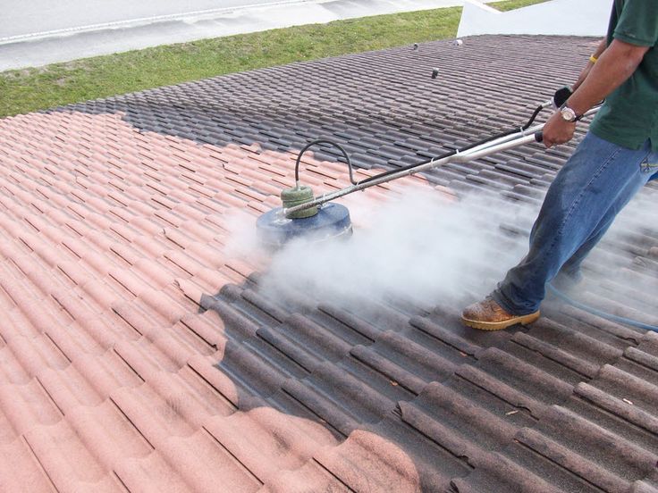 Steam Roof Cleaning Steam Roof Cleaning