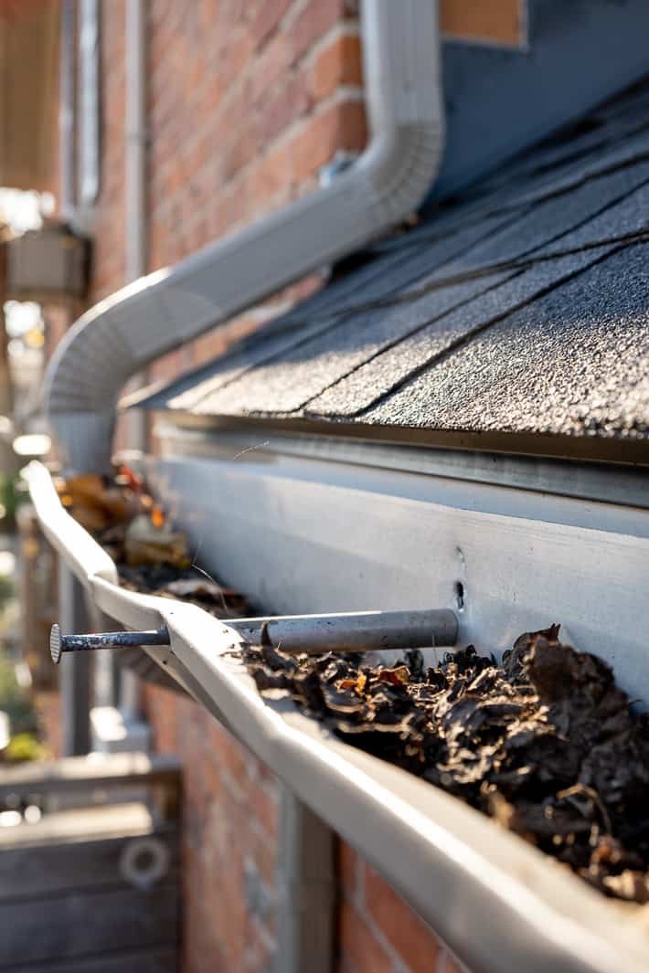 clogged gutter and downspout damage