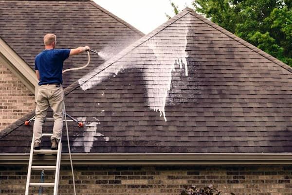 shingle roof soft cleaning shingle roof soft cleaning